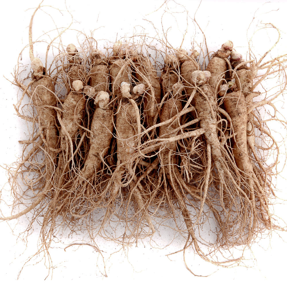 (�ݻ���￵�����չ���)��ô ������ 12-15�Ѹ����� 750g