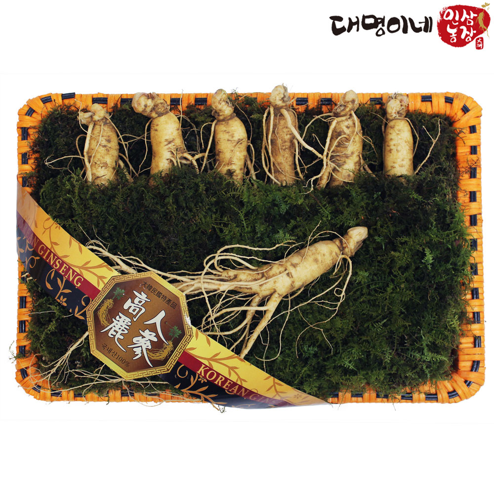 (�ݻ���￵�����չ���)����̳� �Ǽ��� ���Ｑ����Ʈ 7-9�Ѹ����� 400g