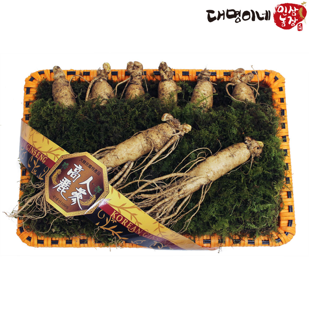 (�ݻ���￵�����չ���)�ݻ��λ� ����̳� ���Ｑ����Ʈ 8�Ѹ� 750g