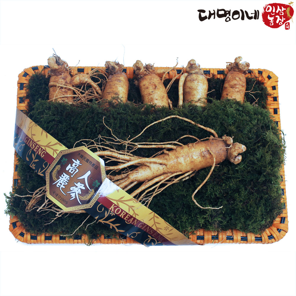 (�ݻ���￵�����չ���)�ݻ��λ� ����̳� ���Ｑ����Ʈ 5-6�Ѹ����� 750g