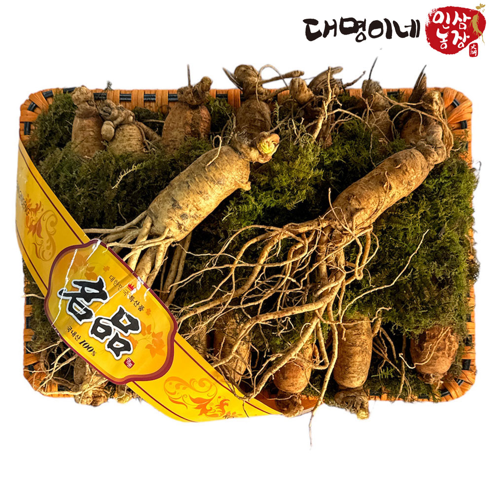 (�ݻ���￵�����չ���)�ݻ��λ� ����̳� ����2ä������Ʈ 15-17�Ѹ����� 1.5kg