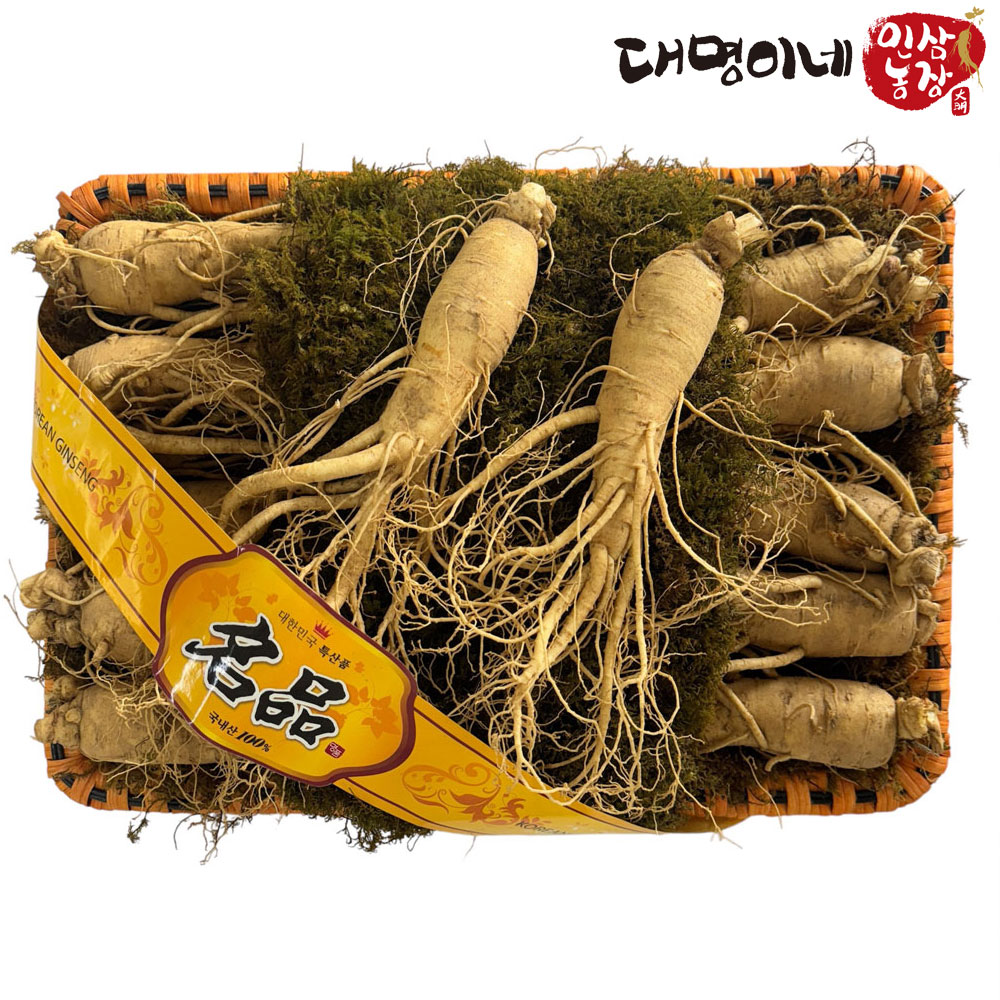 (�ݻ���￵�����չ���)�ݻ��λ� ����̳� ����2ä������Ʈ 10-12�Ѹ����� 1.5kg