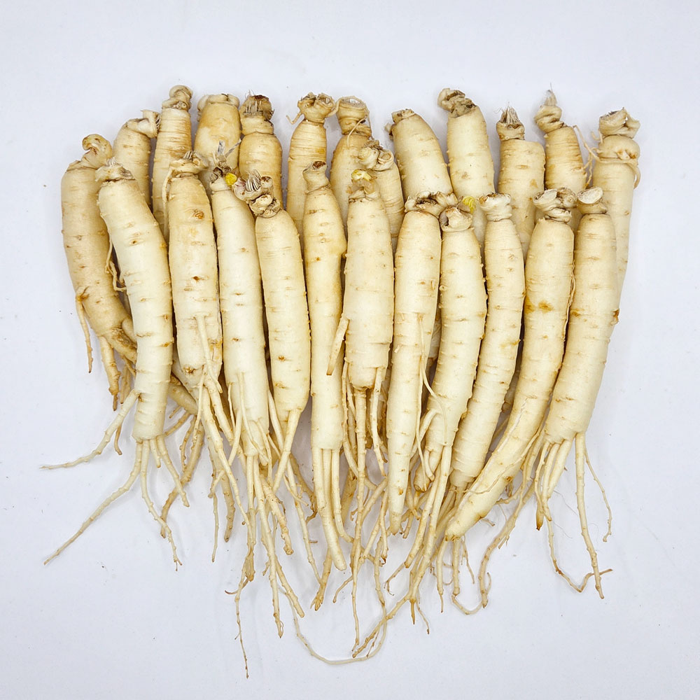 (�ݻ���￵�����չ���)��ô ������ 23�Ѹ����� 500g