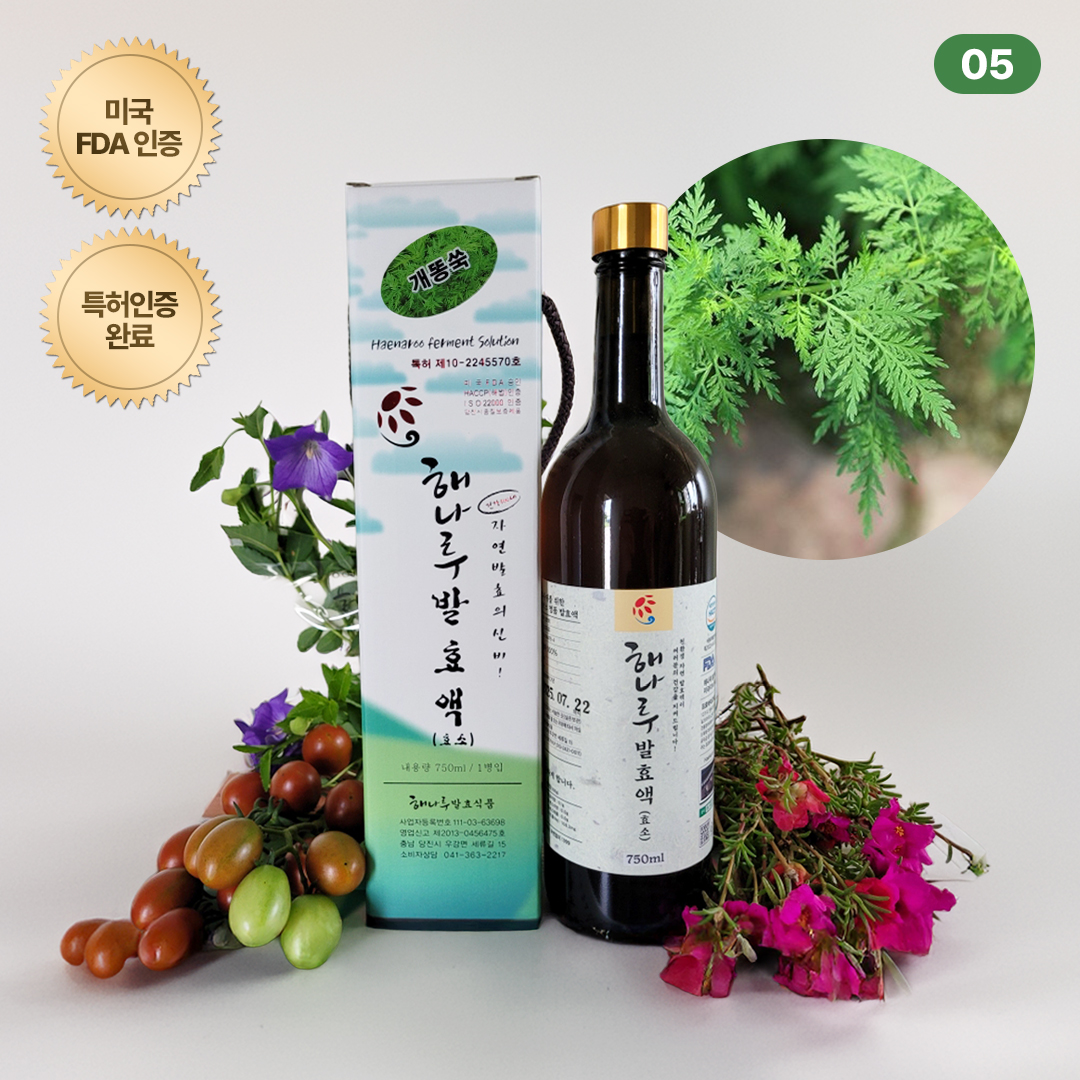 (سȿǰ) [Ưǰ]׾Ƹ ȿ  س ȿ750ml(˾///)