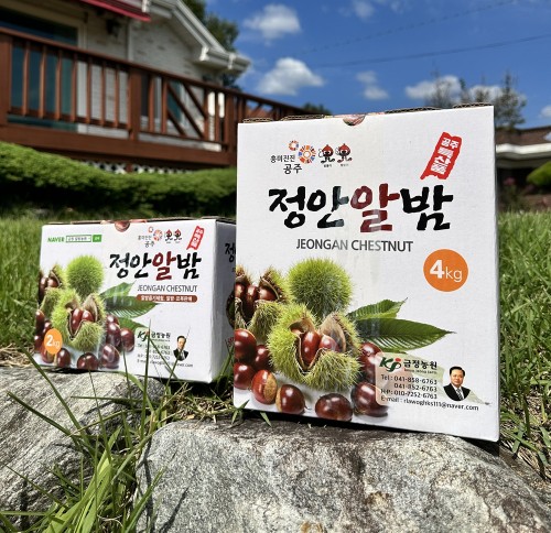 (26년 추석)(금정알밤농원) 정안알밤 깐밤 조각밤 1kg