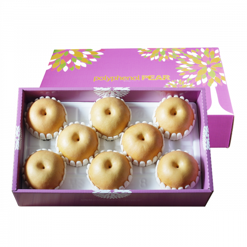 (25³â Ãß¼®)(¾ÆÄ§³ó¿ø) ¾ÆÄ§³ó¿ø¹è±â»Ý 5kg(¹è6~9ÀÔ)