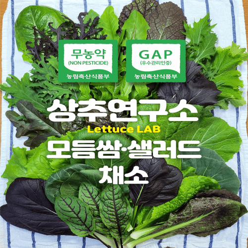 (26³â ¼³)(»óÃß¿¬±¸¼Ò)½º¸¶Æ®ÆÊ ¹«³ó¾à ¸ðµë½Ó»ø·¯µåä¼Ò(600g/1kg)