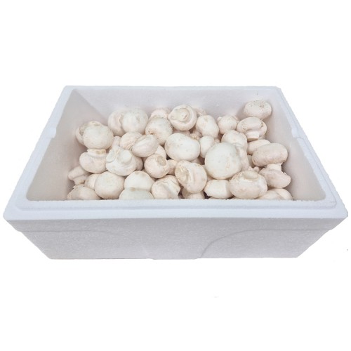 (26³â ¼³)(³ó¾÷ȸ»ç¹ýÀθӽ¬±×·Î(ÁÖ)) ¾ç¼ÛÀ̹ö¼¸ ¸ø³ÀÌ