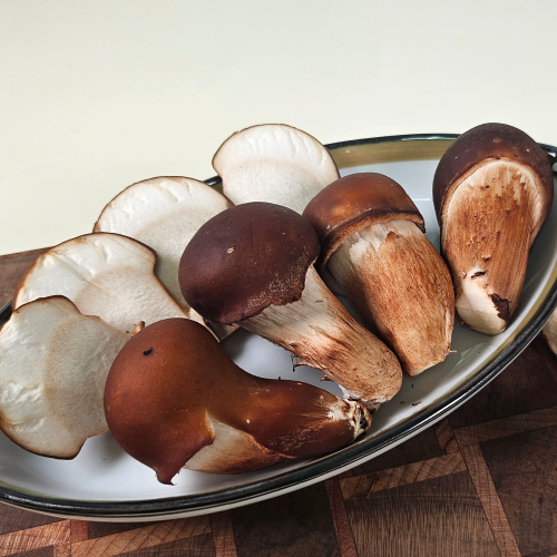 (26³â ¼³)(ÇÏÁøÀÌ³× ¹ö¼¸¶ã¿¡(Á¤´ã)) Âü¼ÛÀÌ(°¡Á¤¿ë/Áßǰ)