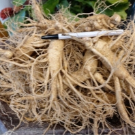 (26�� ��)(���߱�ȫ��) �λ� 1ä ������ ����(7~9�Ѹ�)