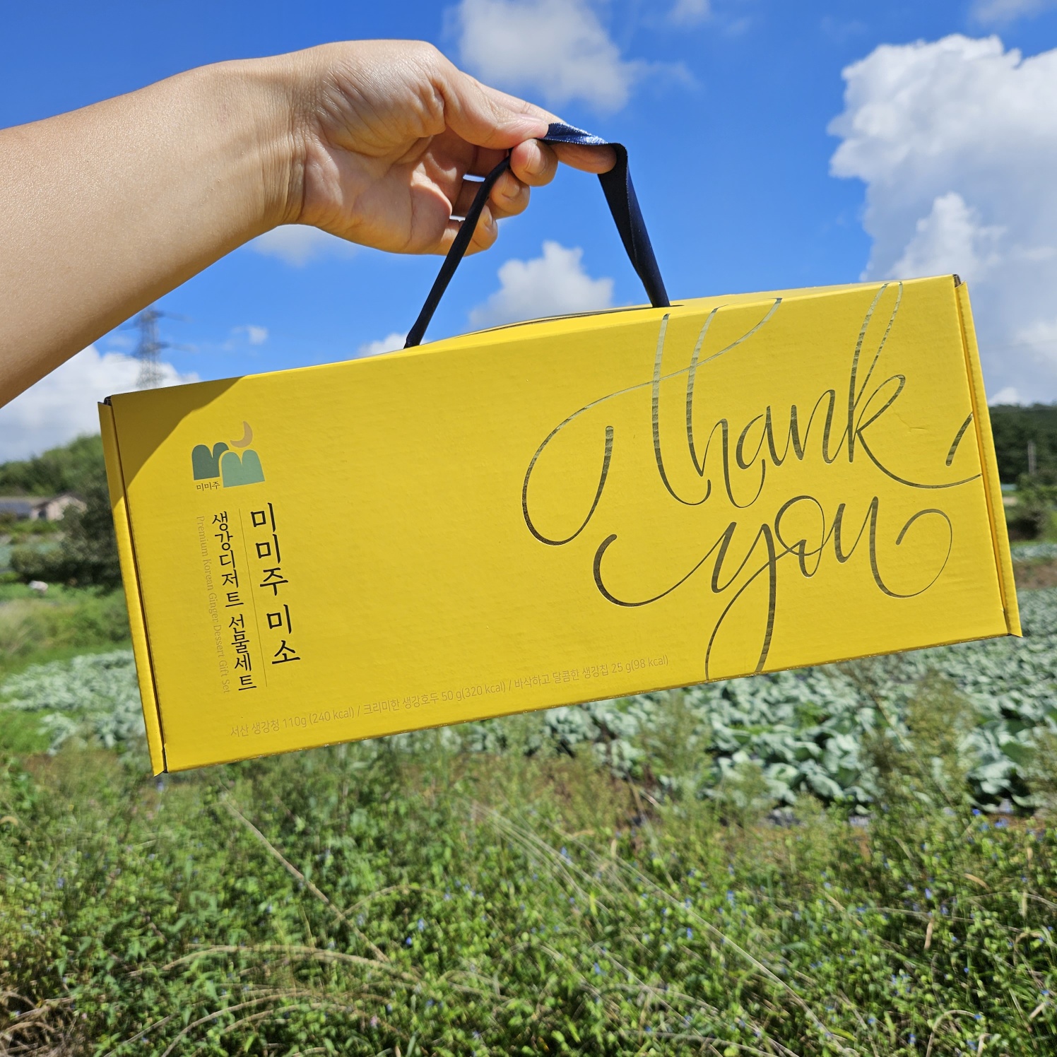 (26�� ��)(�̹���) �̼� ��������Ʈ ������Ʈ (185g)