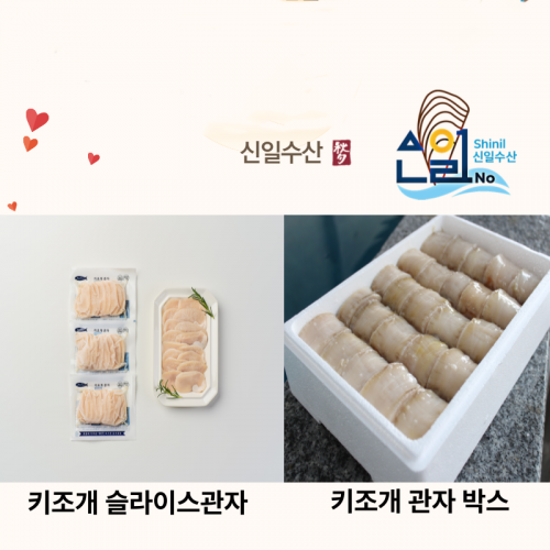 (26³â ¼³)(½ÅÀϼö»ê) ŰÁ¶°³ ½½¶óÀ̽º°üÀÚ/ °üÀÚ¹Ú½º