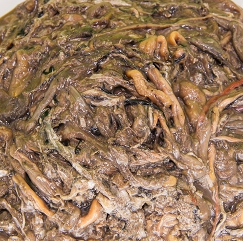 (26년 희망드림)(강경장수젓갈) 강경맛깔젓 갈치속젓 1kg/2kg/3kg/5kg