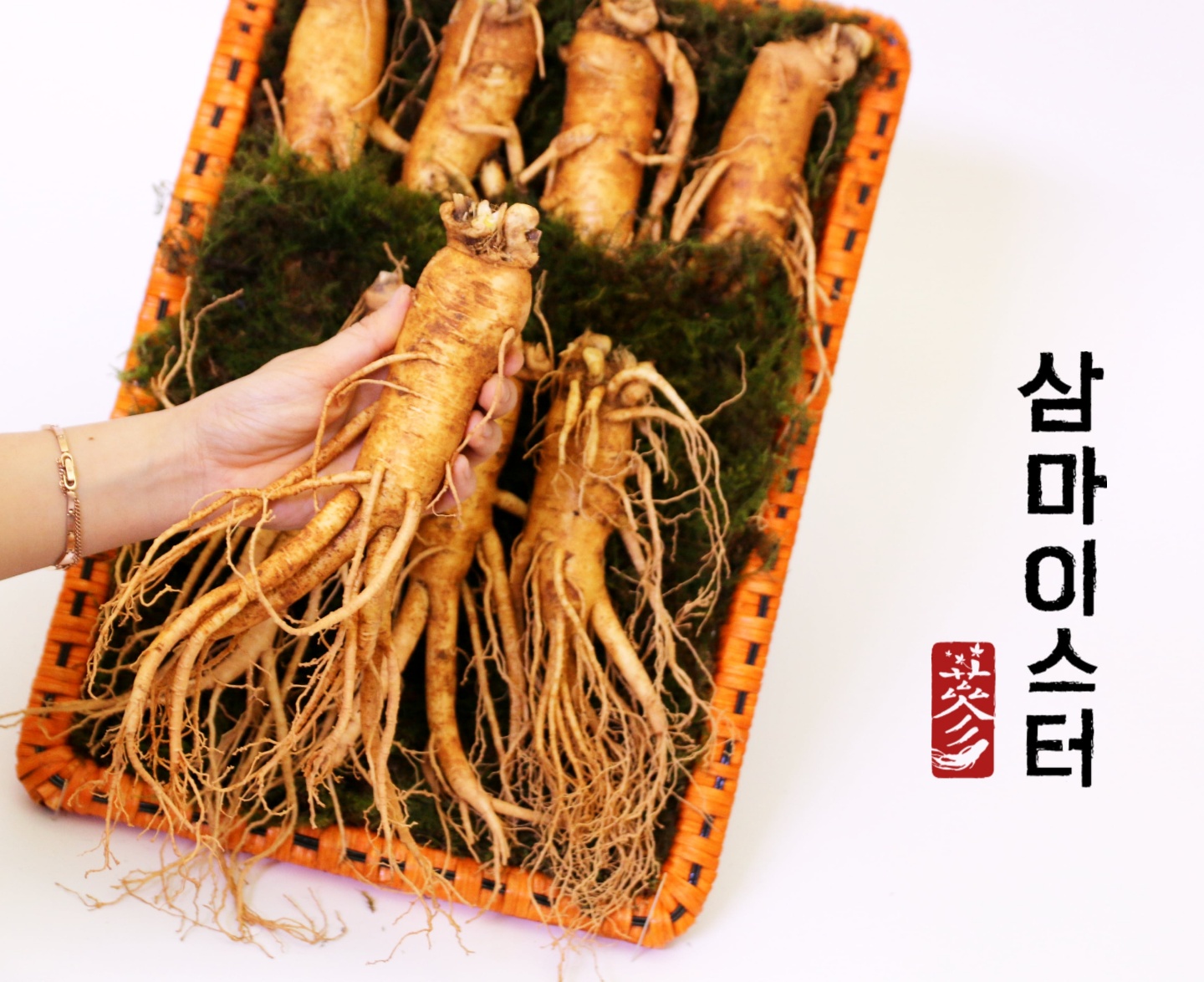 (26년 희망드림)(한국지에이피인삼영농조합법인) 인삼 선물세트(소/중/대/특대)