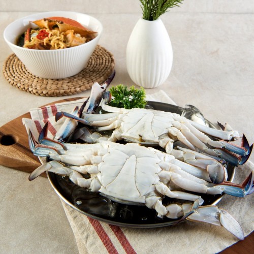 (25 ߼)(Ǫ) ö ɰ(2kg)