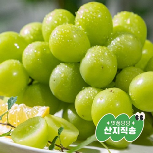 [ǳ   2]θӽĹ 2kg(3~4) (9 15  )