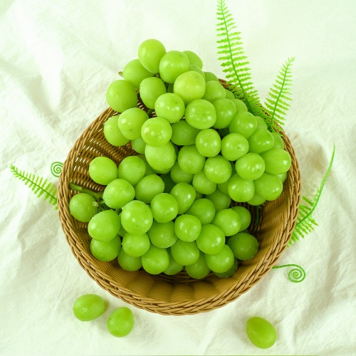 (25³â Ãß¼®)(õ¾È½Ã³óÇùÁ¶ÇÕ°øµ¿»ç¾÷¹ýÀÎ) »þÀθӽºÄÏ 4kg(5~6¼ö)