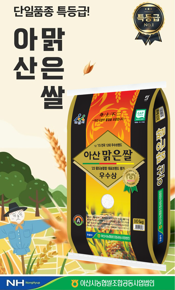 (26�� 3�� �� ��� ��) (�ƻ�ó��������հ����������) 2025�� �ݽ� �ƻ긼���� 10kg (�ﱤ/Ư)