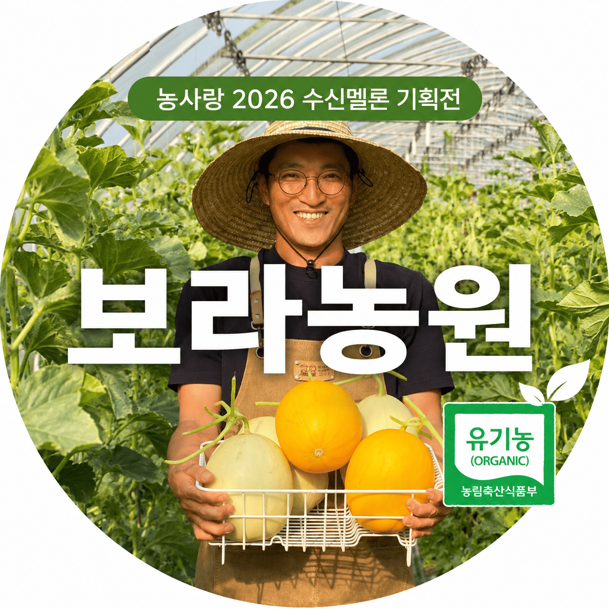[5�� ���Ÿ�б�ȹ��] (������)���� ������ ����� ���Ÿ�� 5kg / 6.5kg / 8kg (�����Ǹ�)