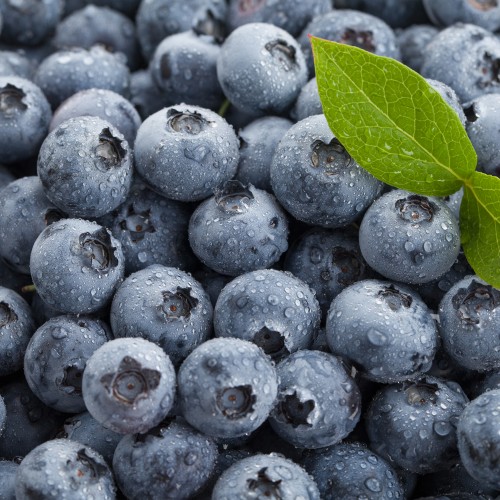[��������ö, ����]6/15 ���Ǹ� ���� / ����� ���纣�� (500g/1kg, ������/������)
