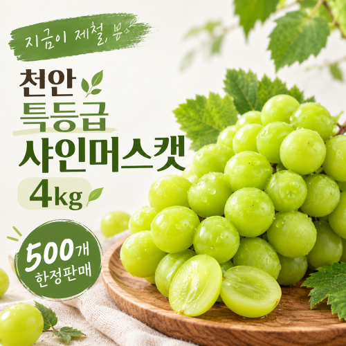 [지금이제철, 천안]특등급 샤인머스캣 (4kg/4~6수) 