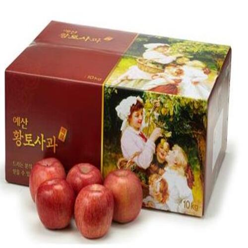 (¾ÆÀÌÆÄ¸Ó½º)¿¹»êȲÅä»ç°ú 8kg (°ú¼ö ¼±ÅÃ)