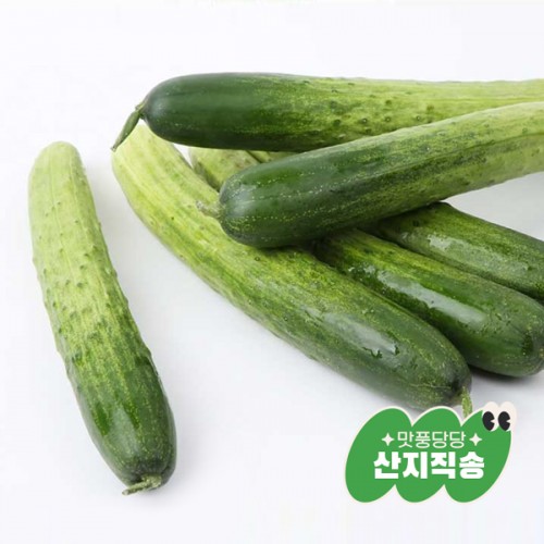 ǳ ö깰 5  [õ] ٴٱ  2kg / 4kg(5 7 )