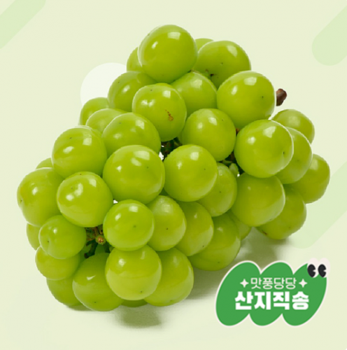 [ǳ   2]θӽĹ 4kg(4~6) (ߺ߼  ũ)