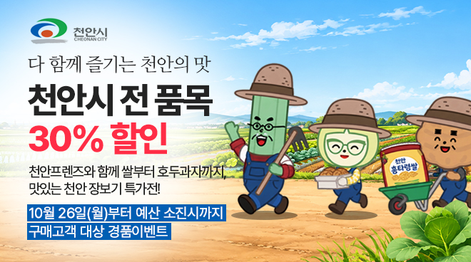 천안시의 날